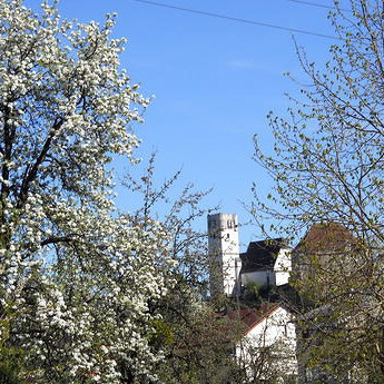 Pfarrgemeinderat