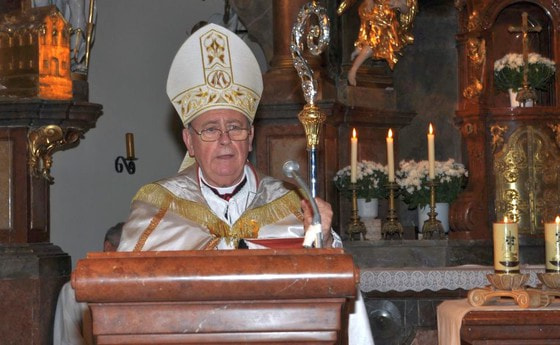 Pfarrvisitation 2011 durch Bischof Ludwig Schwarz