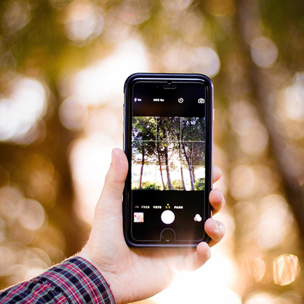 Fotos / pexels/Pixabay Gute Fotos und Bilder