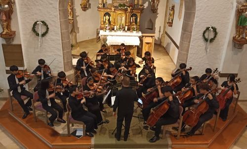 Ivy Chamber Strings