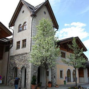 Lourdes Wallfahrt