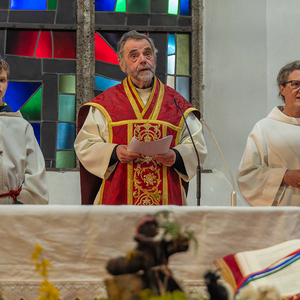 Palmsonntag Pfarre Kirchdorf an der Krems