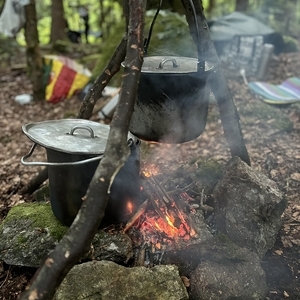 WaldWE